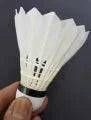 RSL Dura Ace Badminton Shuttlecock – 12pcs Tube, Speed 77, Durable & Affordable