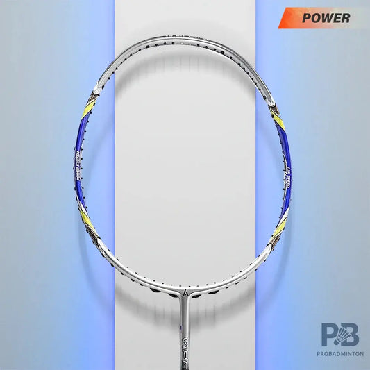 Ashaway Viper XT 100 Badminton Rackets