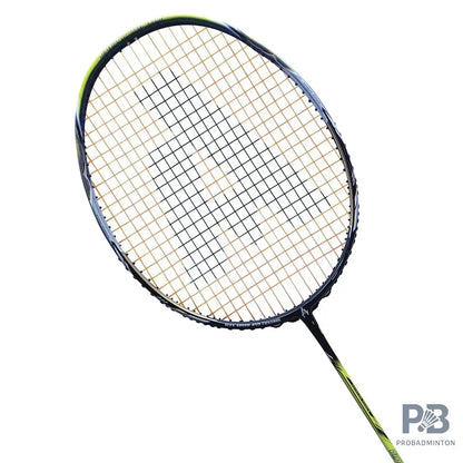 Ashaway Viper XT 96 Badminton Rackets