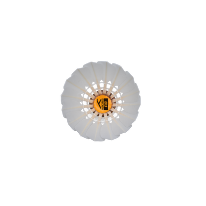 Hundred F10 Feather Shuttlecock
