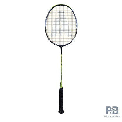 Ashaway Viper XT 96 Badminton Rackets