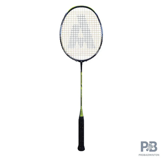 Ashaway Viper XT 96 Badminton Rackets