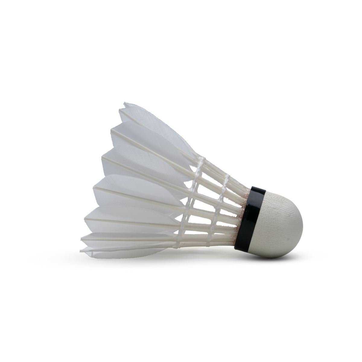 Hundred F10 Feather Shuttlecock