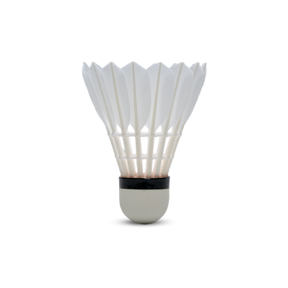 Hundred F10 Feather Shuttlecock