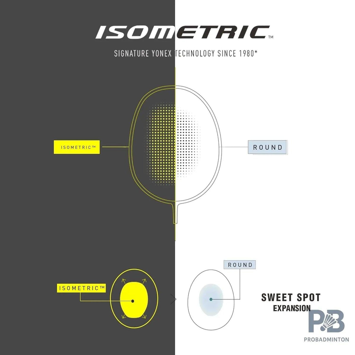 Yonex GR 303i Badminton Racket – 3U/G4 | Ideal for Beginners (In 5 Different Colours)