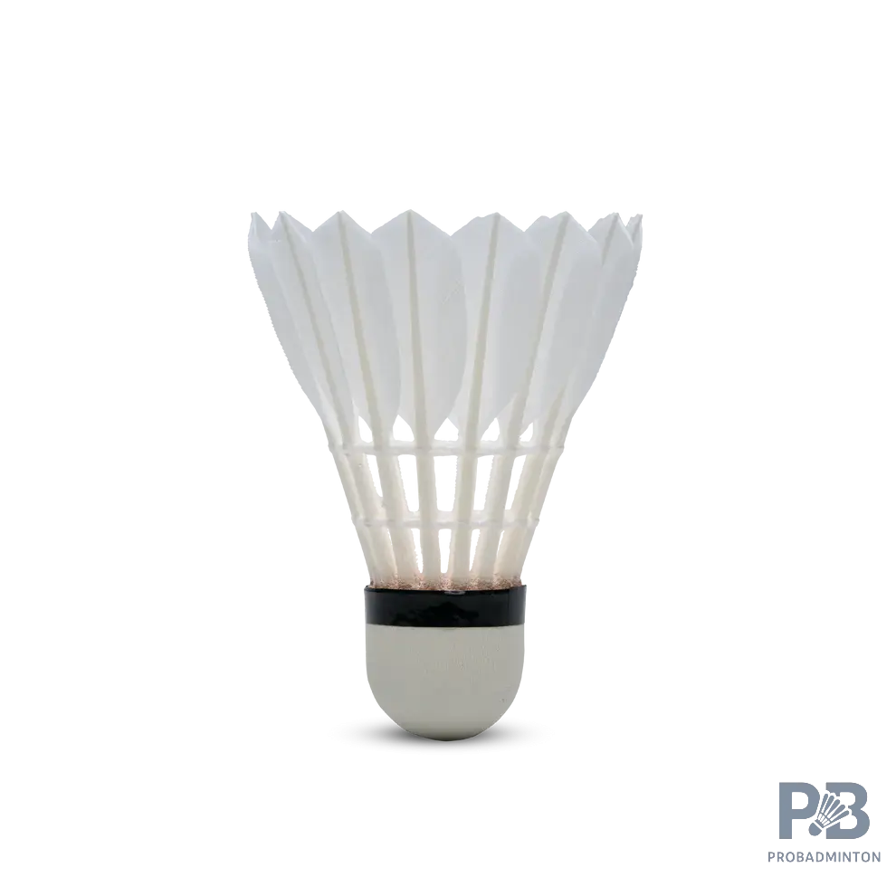 Hundred F5 Badminton Shuttlecocks | Grade A Feathers