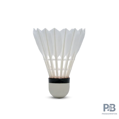 Hundred F5 Badminton Shuttlecocks | Grade A Feathers