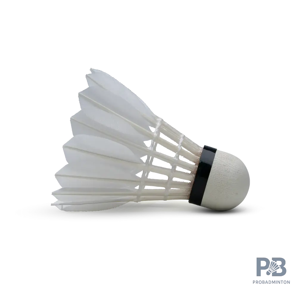Hundred F5 Badminton Shuttlecocks | Grade A Feathers