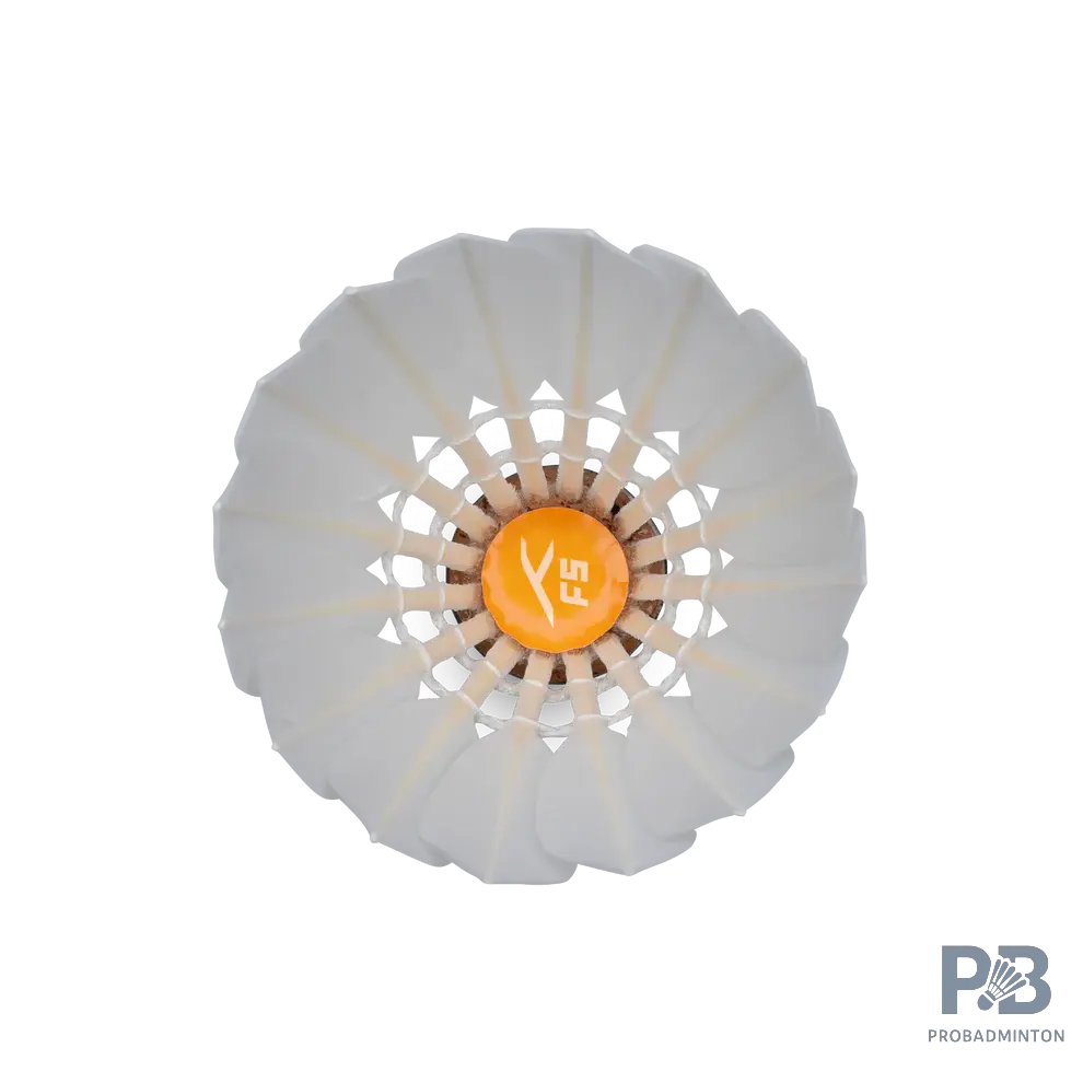 Hundred F5 Badminton Shuttlecocks | Grade A Feathers