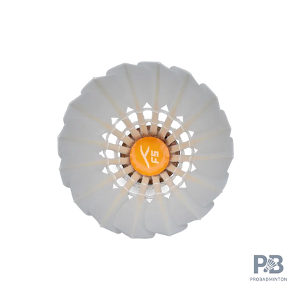 Hundred F5 Badminton Shuttlecocks | Grade A Feathers