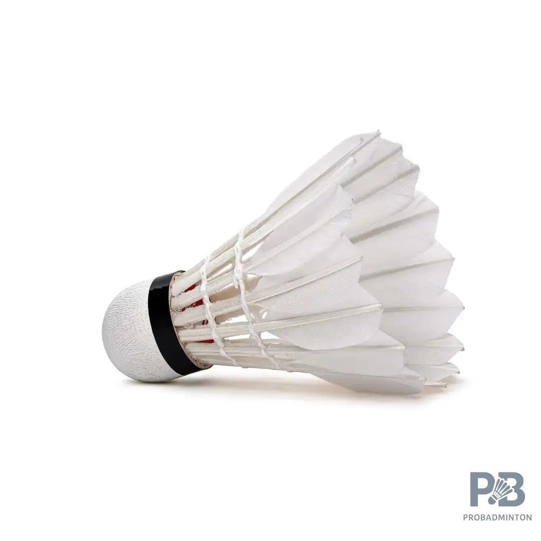 Lining G200 Professional Hybrid Feather Shuttlecocks | Speed 76 and Speed 77