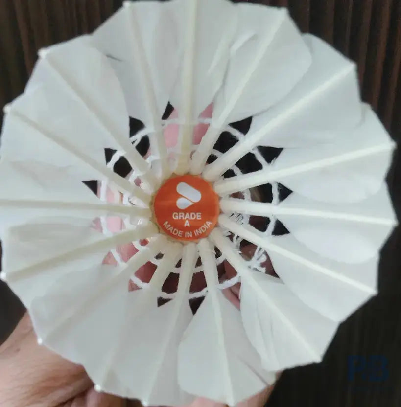 Acers Grade A Feather Shuttlecock – White, Beginner Badminton Shuttle, Pack of 12