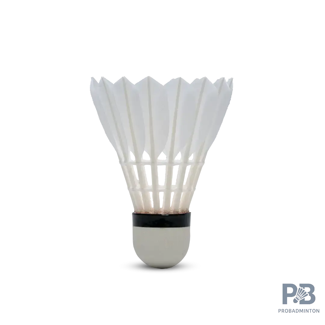 The Hundred F8 Badminton Feather Shuttlecocks | Speed 76 & 77