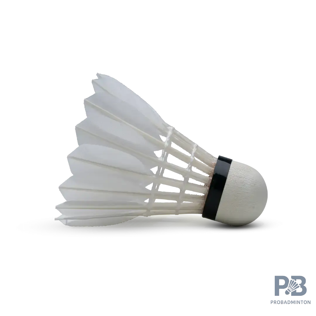 The Hundred F8 Badminton Feather Shuttlecocks | Speed 76 & 77